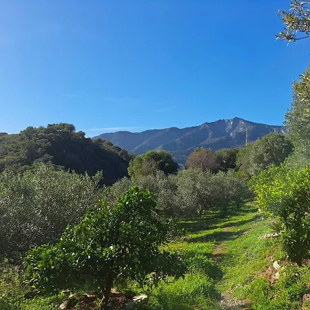 Domek alpejski Rural En